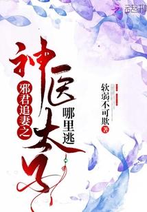 邪君追妻之神医太子哪里逃