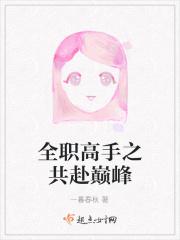 全职高手之共赴巅峰