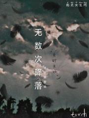 无数次降落