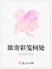 欲寄彩笺何处