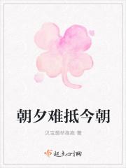 朝夕难抵今朝