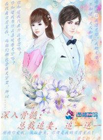 深入骨髓:总裁追妻,追一送一