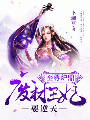 至尊炉鼎:废材王妃要逆天