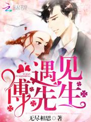 遇见傅先生叶繁星