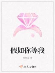 假如你等我