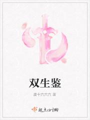 双生鉴