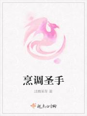烹调圣手