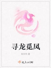 寻龙觅凤