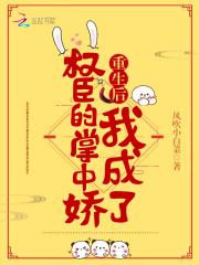花重锦官城南宝衣