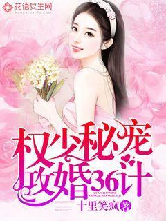 权少秘宠:攻婚36计