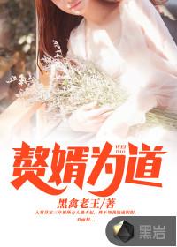赘婿为道