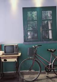 你在谁的喜欢里迷了路