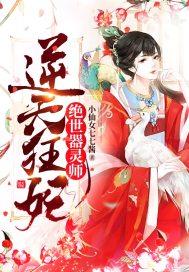 逆天狂妃:绝世器灵师