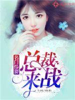 名门悍妻:总裁,来战