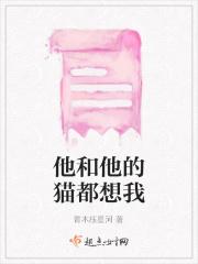 年年有今日我岁岁无你