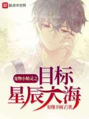 精灵宝可梦之目标星辰大海