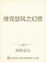 维克瑟风之幻想