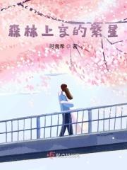 森林上空的繁星