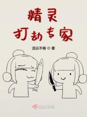 精灵打劫专家