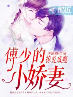 掠爱成瘾:傅少的小娇妻