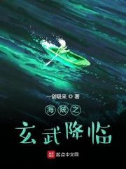 海贼之玄武降临