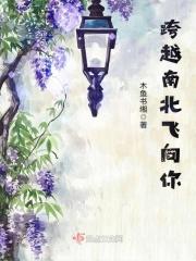 跨越南北飞向你