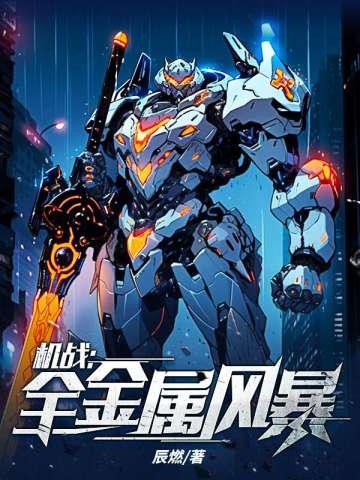 机战:全金属风暴