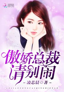 傲娇总裁请别闹!