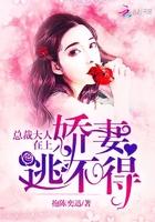 总裁大人在上:娇妻逃不得
