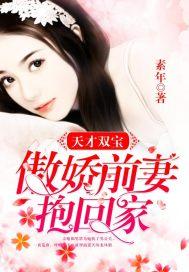 天才双宝:傲娇前妻抱回家