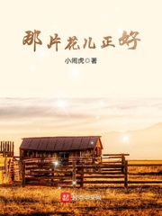 风水奇谭2：云梦迷泽