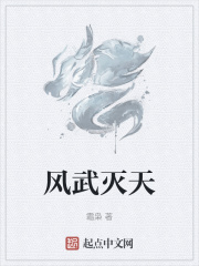 风武灭天